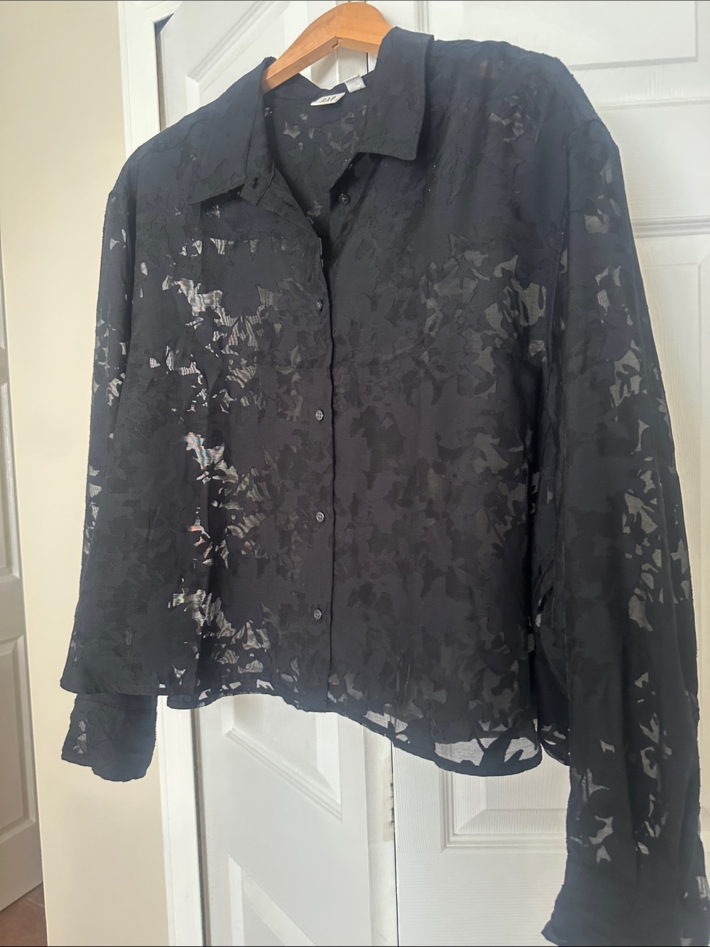 GAP Sheer Black Button-Down Blouse